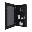 Sanford Medicine Cabinet Engineered Wood Black