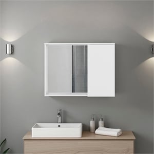 Irwin Modern Medicine Cabinet with Mirror