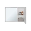 Irwin Modern Medicine Cabinet with Mirror
