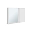 Irwin Modern Medicine Cabinet with Mirror