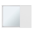 Irwin Modern Medicine Cabinet with Mirror