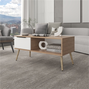 Lavelle Living Room Coffee Table with Spacious Top Surface Engineered Wood Furniture for Living Room Use Storage and Display Beige Finish Modern Design