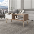 Lavelle Living Room Coffee Table with Spacious Top Surface Engineered Wood Furniture for Living Room Use Storage and Display Beige Finish Modern Design