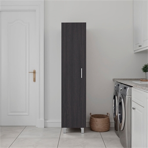 Hudson Premium  Storage Cabinet Manufactured Wood Finish