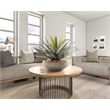 Agave in Grey Low Newport Bowl with River Rock