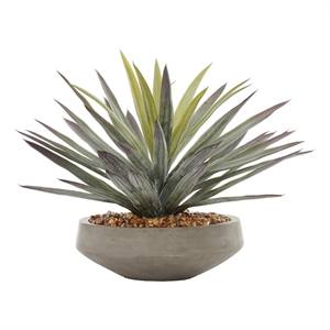 Agave in Grey Low Newport Bowl with River Rock