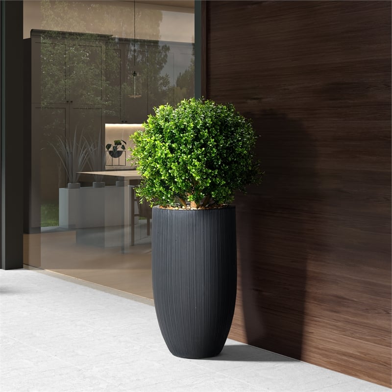 Boxwood Ball in Black Ribbed Nell Planter