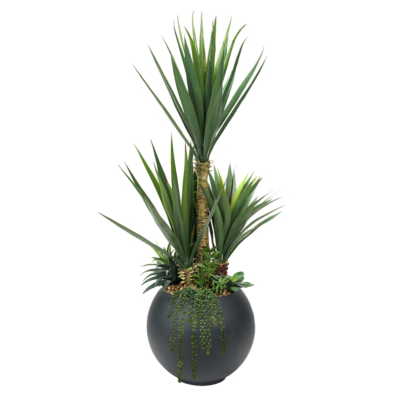 5' Sisal and Assorted Succulents in Black Porter Planter