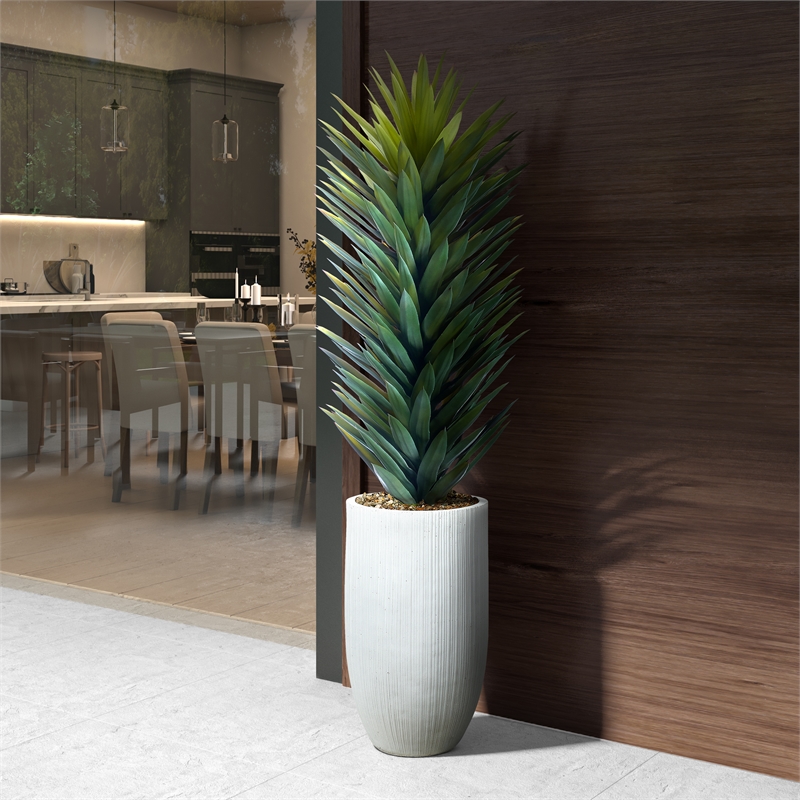 Large Agave Sisalana in White Nell Planter