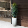 Large Agave Sisalana in White Nell Planter