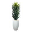 Large Agave Sisalana in White Nell Planter