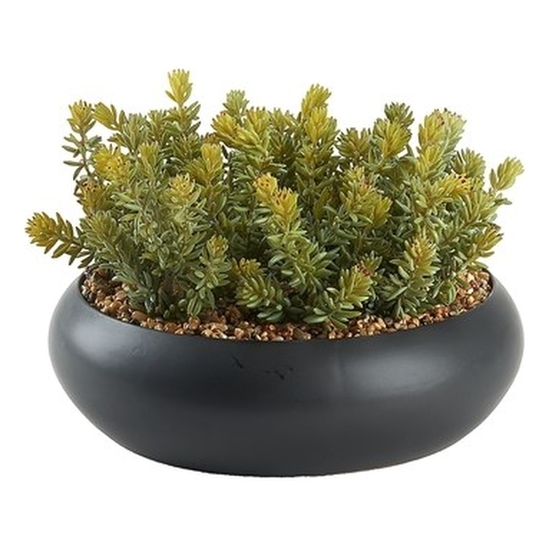 Flocked Succulents in Black Simply Low Bowl