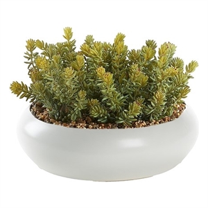 Flocked Succulents in White Simply Low Bowl