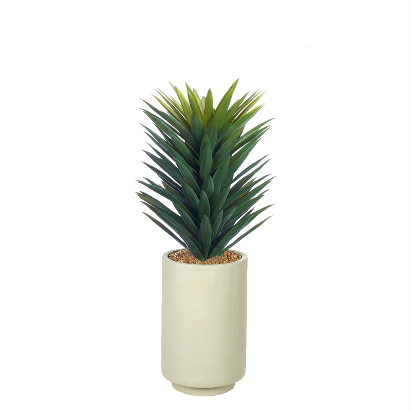 Small Agave Sisalana in Beige Rainey Vase