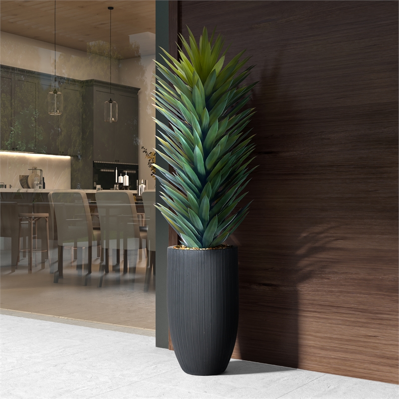 Large Agave Sisalana in Black Nell Planter