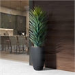 Large Agave Sisalana in Black Nell Planter