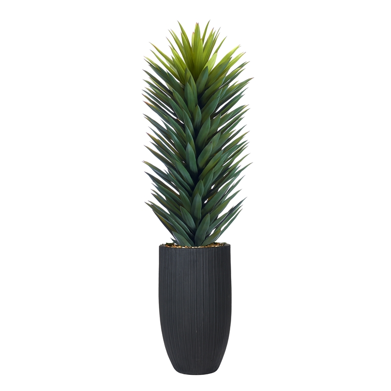 Large Agave Sisalana in Black Nell Planter