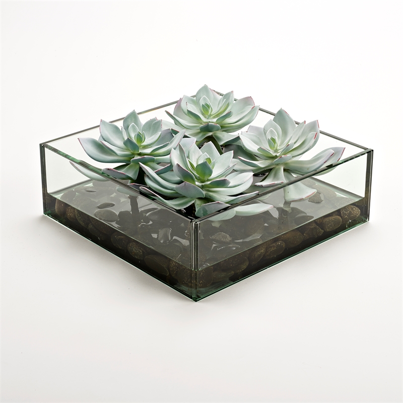 Frosted Echeveria in Marina Bowl with Black River Rock