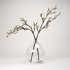 Budding Magnolia Branches in XL Glass Vase