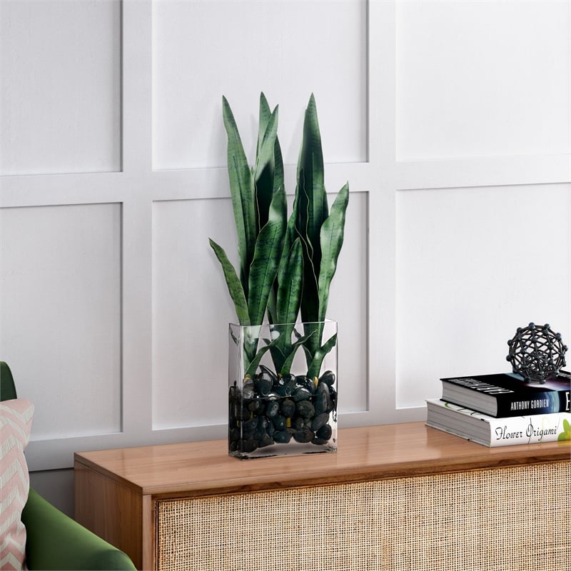 Snake Plant in Flat Panel Vase with Black River Rock