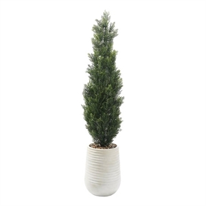 5' Cedar Topiary in White Artemis Planter
