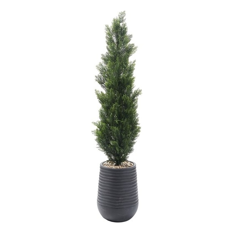 5' Cedar Topiary in Black Artemis Planter