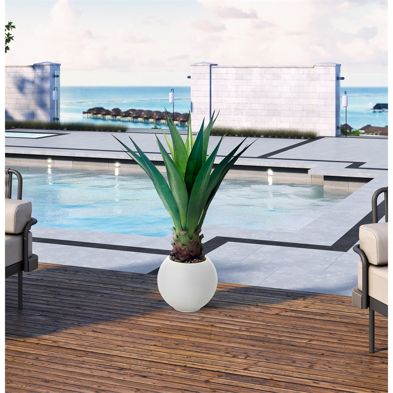 Jumbo Agave Plant in White Porter Planter