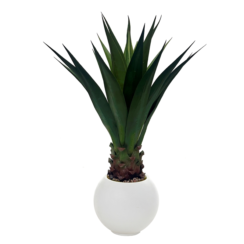 Jumbo Agave Plant in White Porter Planter