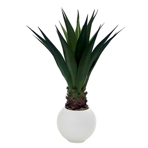 Jumbo Agave Plant in White Porter Planter