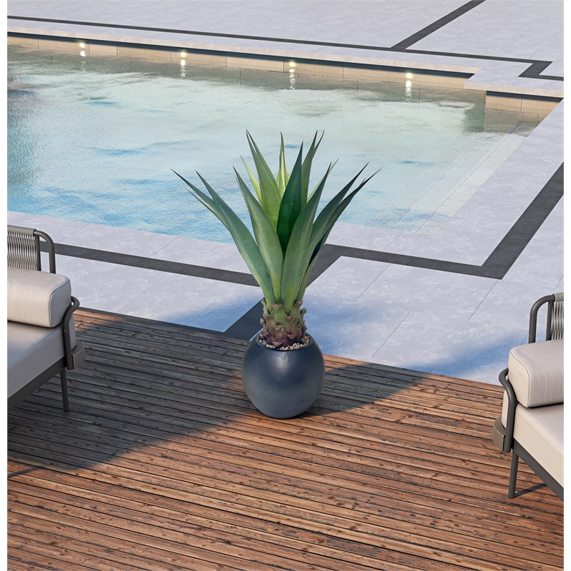 Jumbo Agave Plant in Black Porter Planter