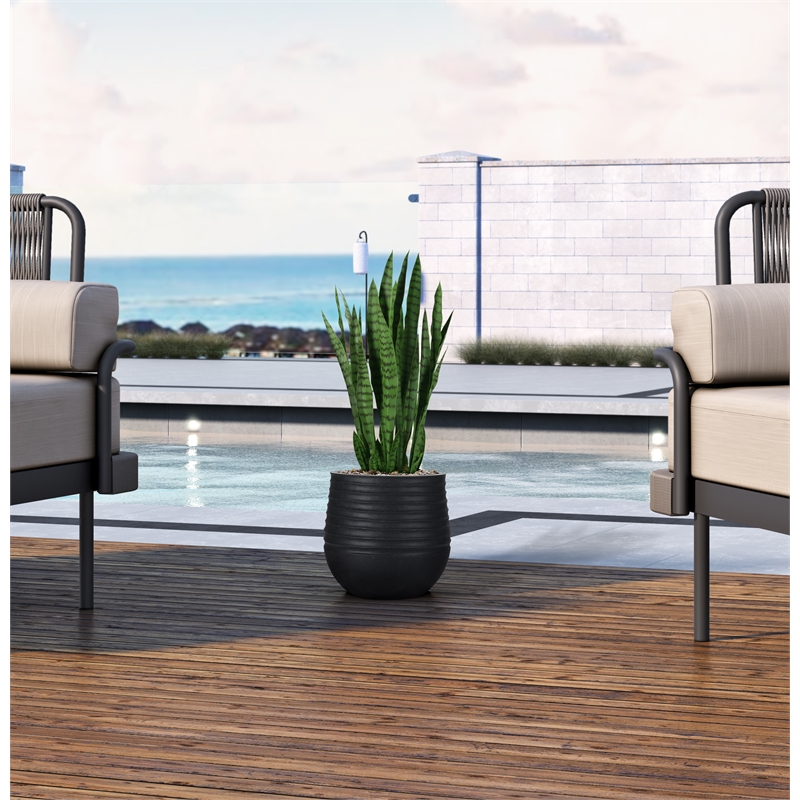 Snake Plant in Black Ribbed Mariella Planter