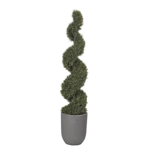6' Spiral Rosemary Topiary in Campbell Planter