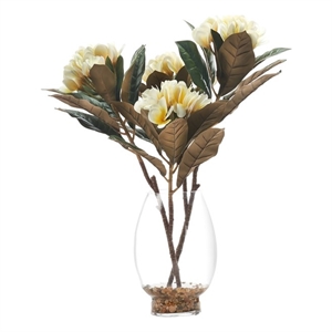 Cream Frangipani in Glass Vase with River Rock