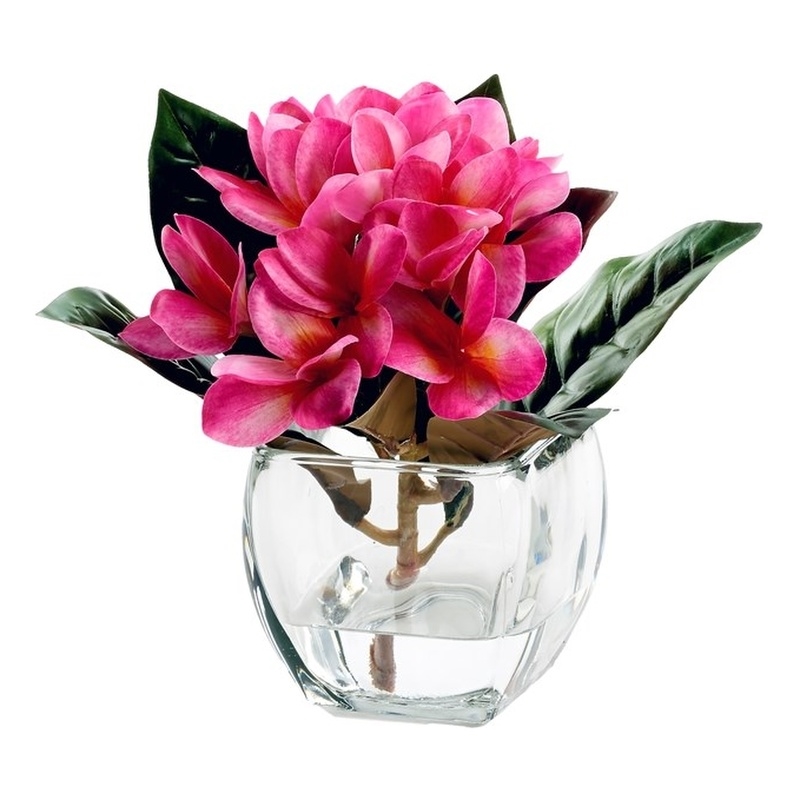 Beauty Frangipani in Glass Cube with Acrylic Water