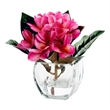 Beauty Frangipani in Glass Cube with Acrylic Water