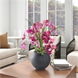 Lavender Orchids and Echeverias in Black Porter Planter