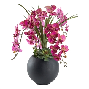 Lavender Orchids and Echeverias in Black Porter Planter