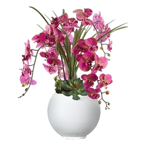 Lavender Orchids and Echeverias in White Porter Planter