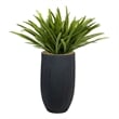 Orchid Foliage in Black Ribbed Nell Planter