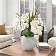 White Orchids and Echeverias in White Porter Planter