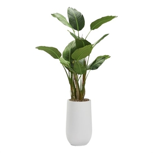 68&quot Bird of Paradise Tree in Quinn Planter
