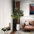 5.5' Fiddle Leaf Fig Tree in Quinn Planter