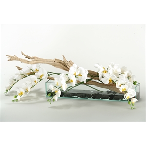 White Real-Touch Phael Orchids and Ghostwood in Aquaria Planter