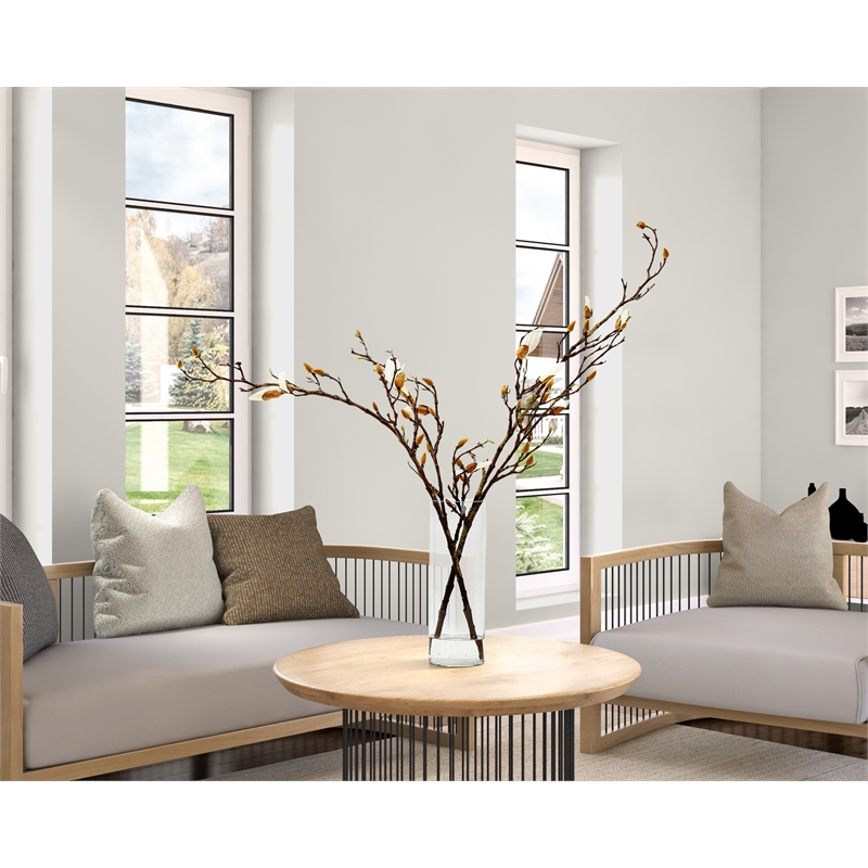 Budding White Magnolia Stems in Cylian Vase