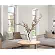 Budding White Magnolia Stems in Cylian Vase