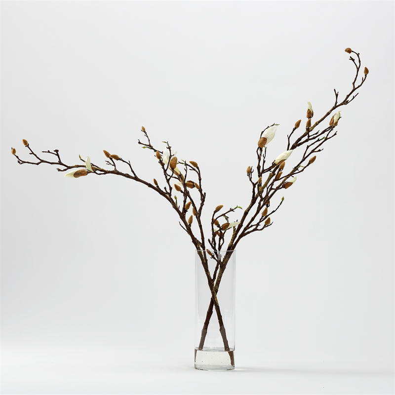 Budding White Magnolia Stems in Cylian Vase