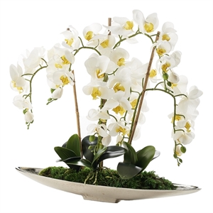 White Real-Touch Orchids in Silver Denver Boat