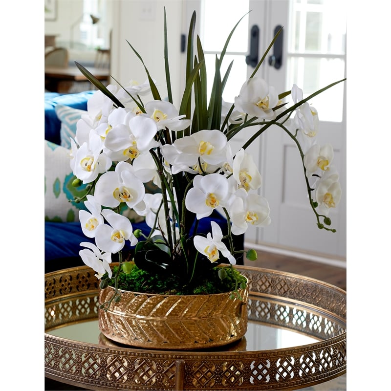 White Orchids & Areca Grass in Salve Planter