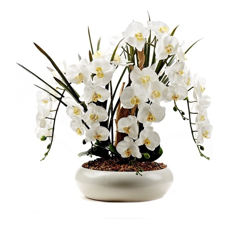 Phael Orchids and Ghostwood in White Simply Low Bowl