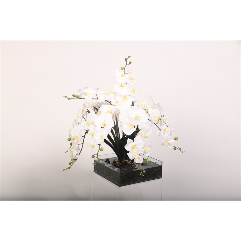 White Real-Touch Phael Orchids in Marina Bowl